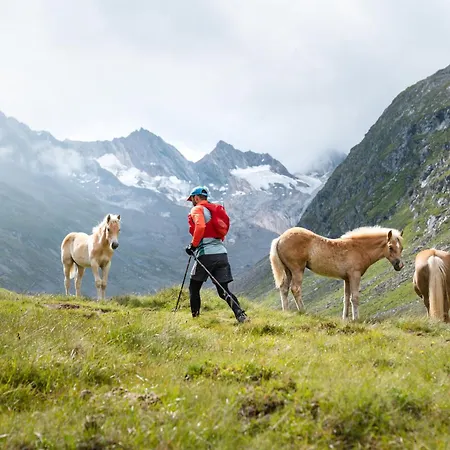 Mountain In Chalet, Opening Dec 25 オーバーグールグル